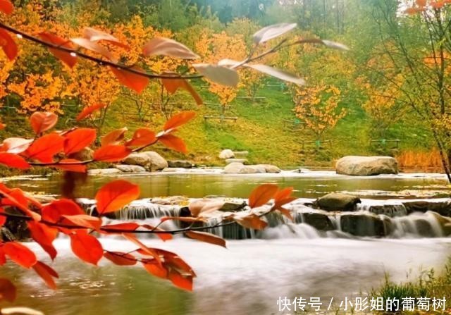 「夜读」初冬,青海大美依旧