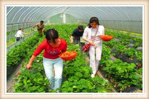  [赚钱]既高大上又赚钱的农村创业项目，这几个真的好，请收藏！