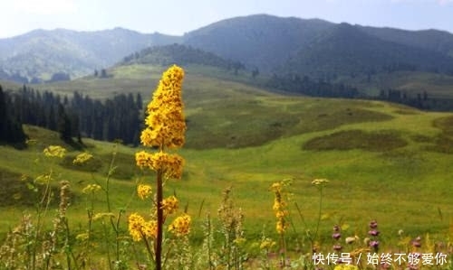 新疆最美景点，赛里木湖都比不过，被央视称为“最后的一片净土”