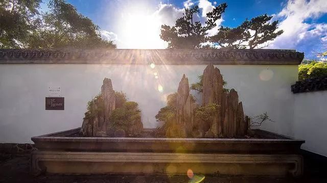 国内最大的专类盆景园,江南园林海派风格美不胜收