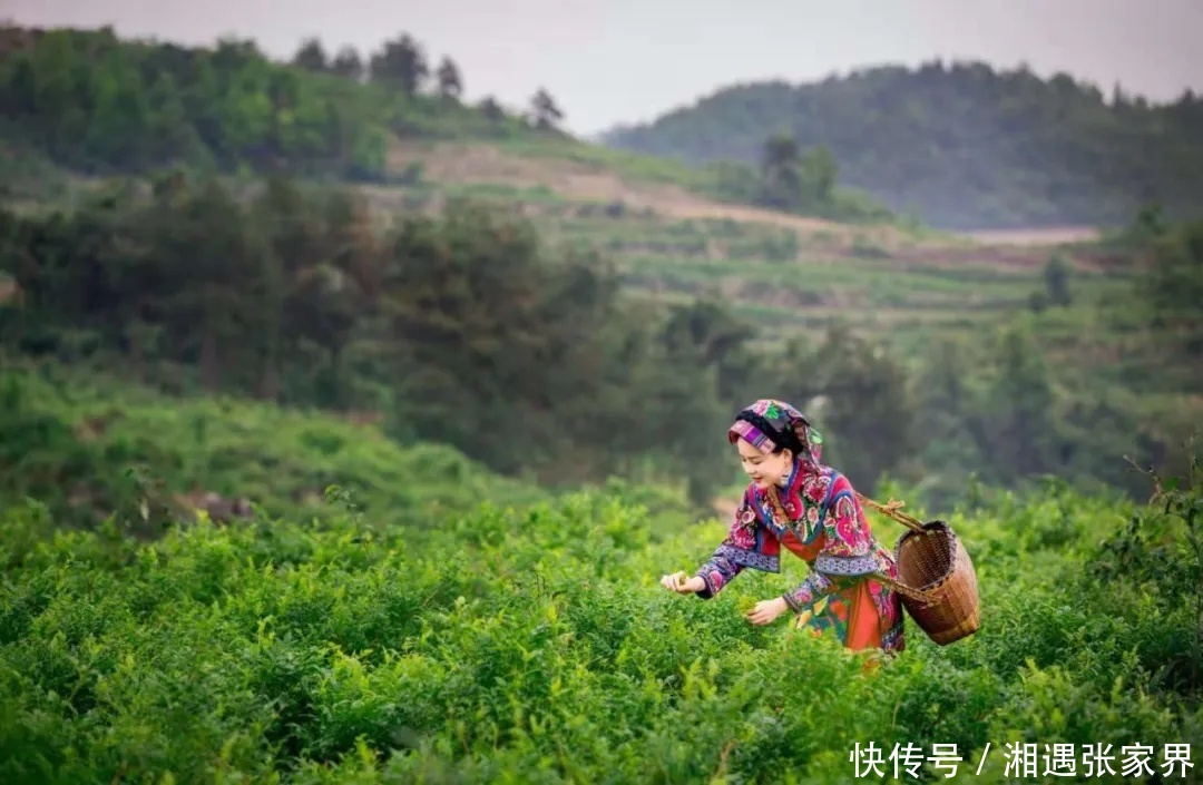  [水镜]水镜张家界 探秘茅岩河