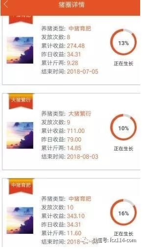 一年骗了至少17亿!警惕这10种“投资理财”项目!“ 爱尚养猪 ”骗