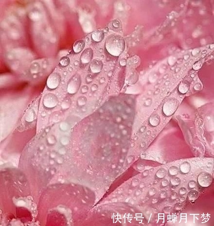  颜值■粉色系，是不是你梦中的神仙颜值婚礼