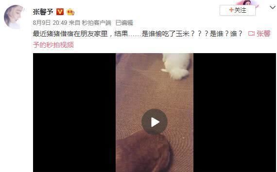 与何捷感情再添喜事?网曝张馨予已怀孕拍照不露腹部疑保护宝宝