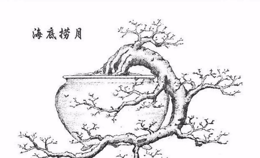  「难度」喜欢悬崖式，就是造型有难度？其实只因为心中没图，这里参考有数