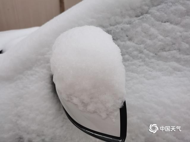  『甘南』甘肃甘南高原雪纷飞 迟归春色别样美