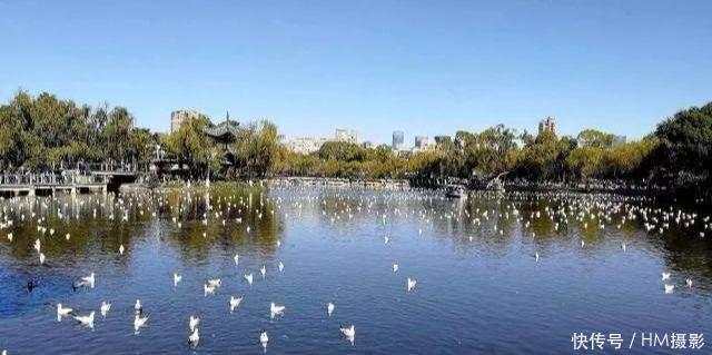 中国值得一去5座避寒城市推荐,一个比一个温暖,你想去哪个呢