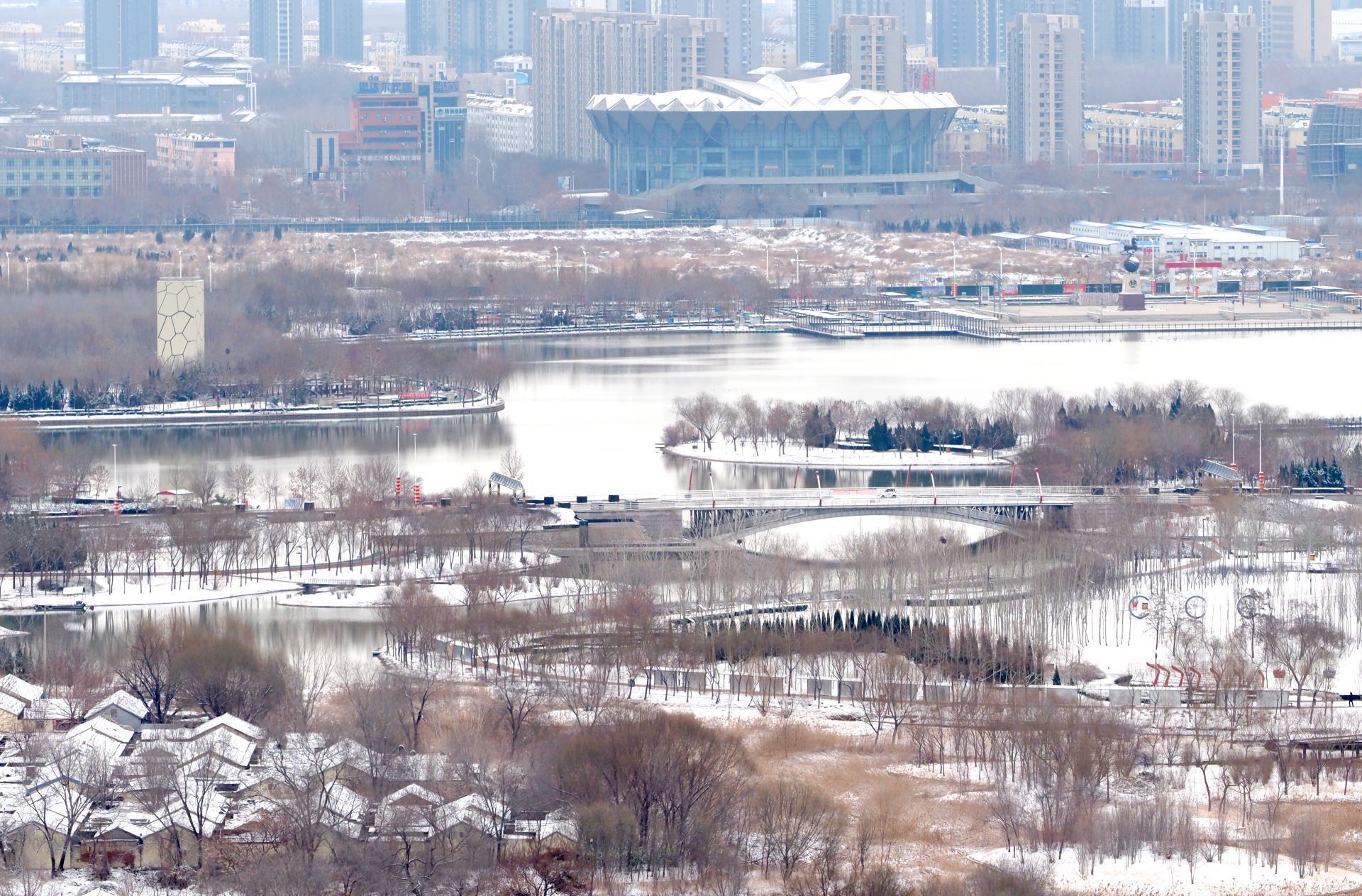  力量■战“疫”之城！力量之城！瑞雪里，大美德州