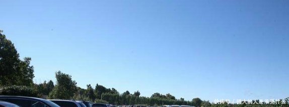 有人做到了无成本养殖，这个农场主年赚几百万