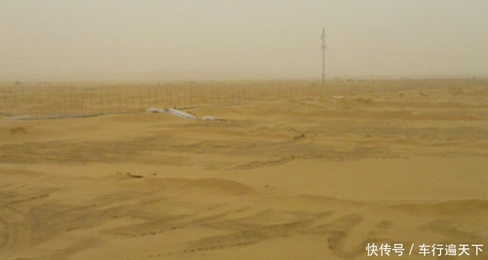 中国在塔克拉玛干沙漠，砸“重金”种大量植物，如今有回报了吗？