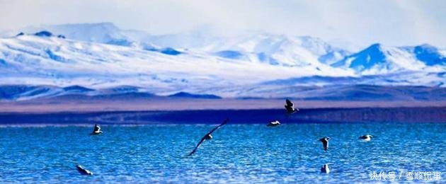 中国不吃鱼的城市, 湖中有6亿斤鱼伸手就抓到一大把, 却没人敢吃