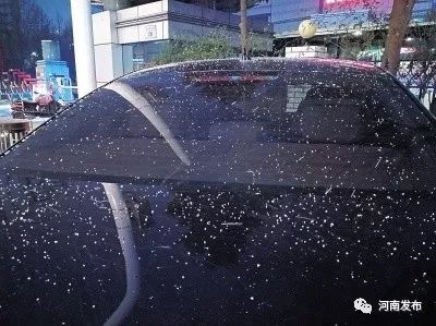 河南今年初雪昨夜到！小寒、三九轮番来，注意添衣