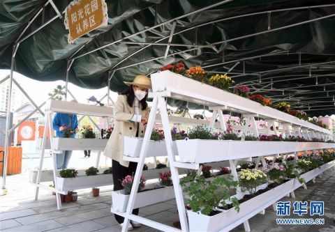  海淀@北京海淀：社区里的屋顶花园