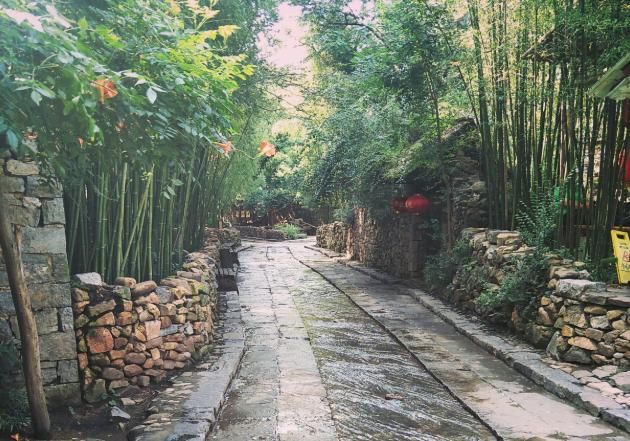 山东“最美”古村落,家家户户住在竹林中,现实版“世外桃源”