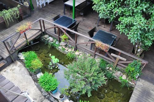  「庭院」等我老了，一定要建个庭院，庭前种竹，四时花开