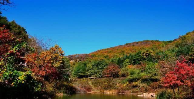 国内最适合秋天旅游的三个景点，每一个都美如画，你有去过吗？