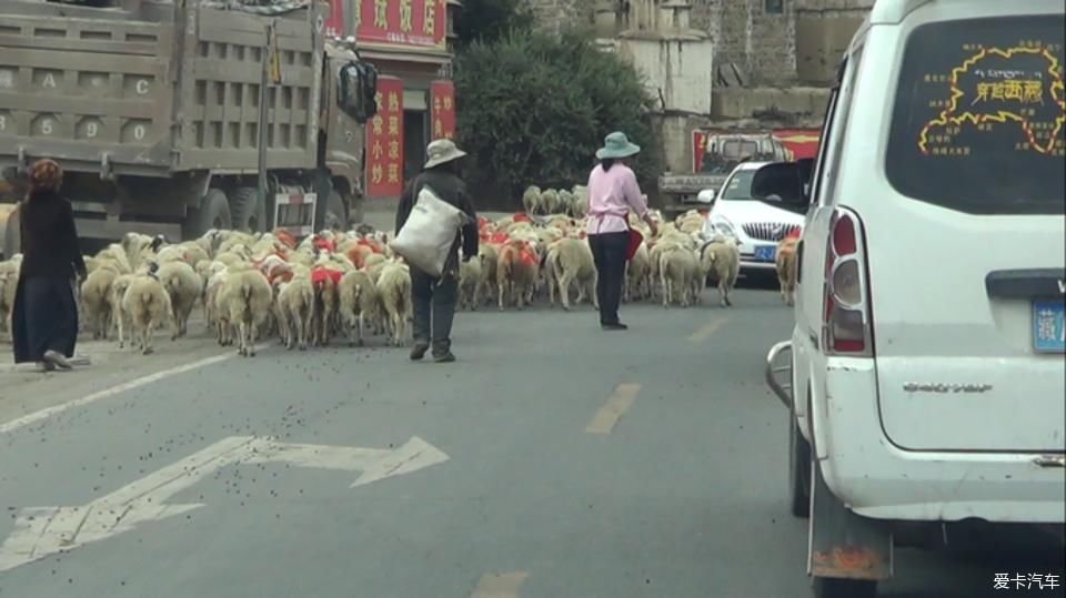 带着年迈父母去西藏，单车自驾奇骏，川进青出，13天7000公里~