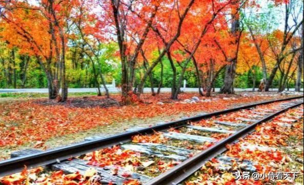 外国人提出疑问：为什么中国高铁要绕弯？看完涨知识了