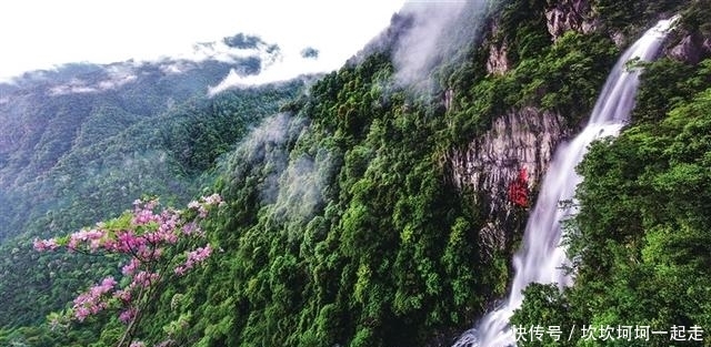 赣州三百山景区提升改造了，值200元门票吗？