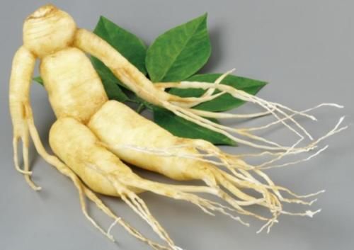  【人参娃娃】听老人们说“千年人参”会跑？为什么会跑？它们真