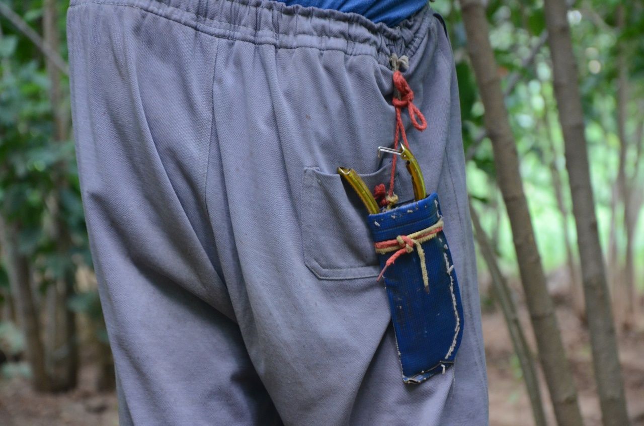 农村七旬老人植桑制杈50年，一年做五百杆桑杈，感叹手艺要消失