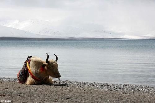 去西藏旅行，这些地方千万不要随意拍照，否则得不偿失