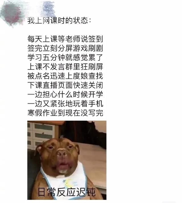  『不信』你看，这笔迹！我怀疑有人假冒圣旨