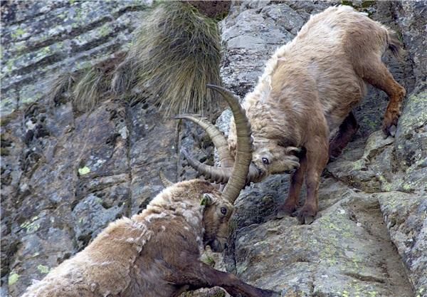 做一个高质量的股民,空仓or持仓?这是一个大问