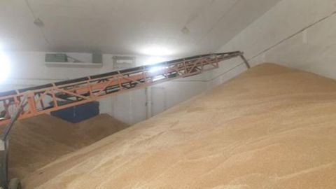  农户@年前小麦价格能涨到1.2元/斤吗？看了这些地区的价格，农户