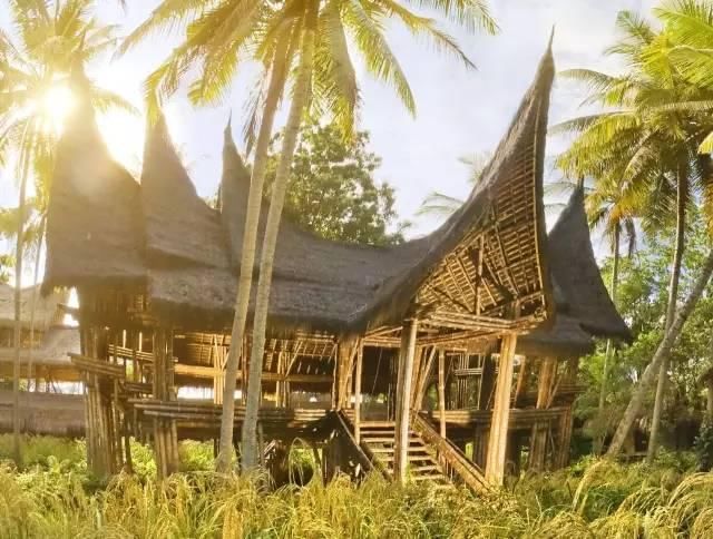 她用竹子建了一个别墅，引来全世界40多个国家围观！