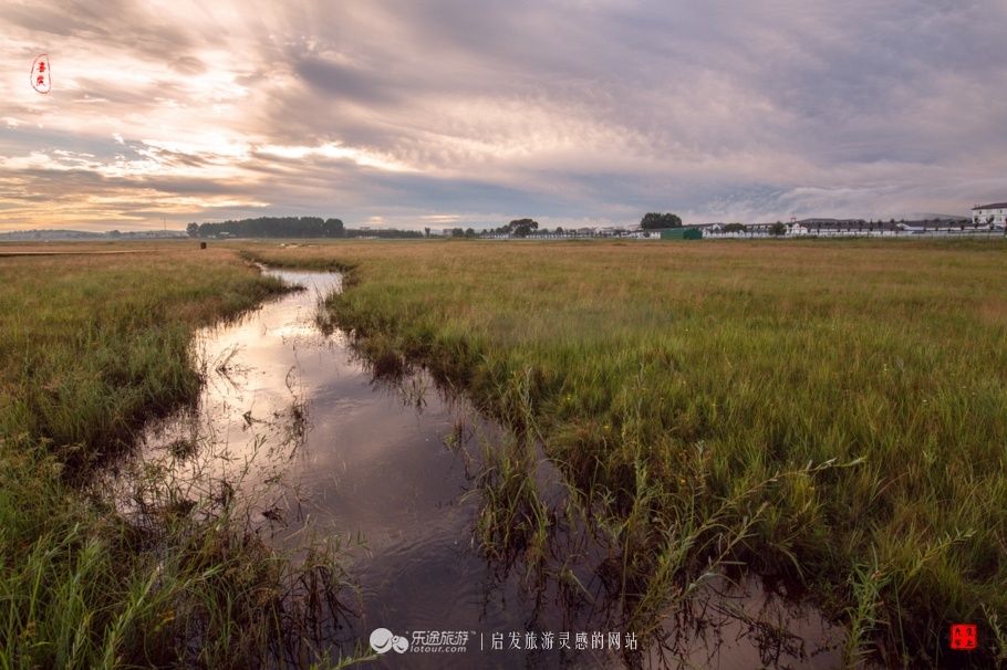 风吹草低见牛羊 说的就是这儿