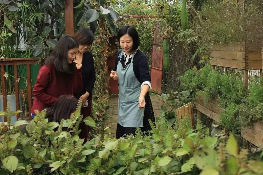  『花房』你在梦想有一个花房的时候，别人家的姑娘已经用一亩地实现了