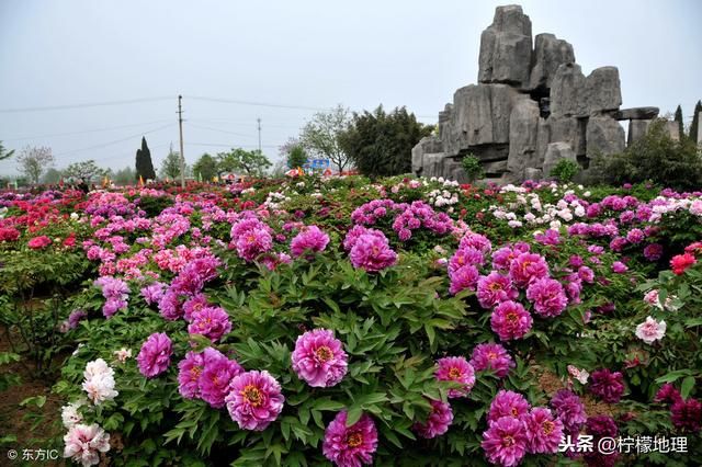 从山东省相对发达和相对落后的3座城市，看山东的经济发展格局