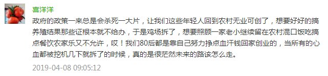 央视质问：我让你查大棚，谁让你一刀切了？