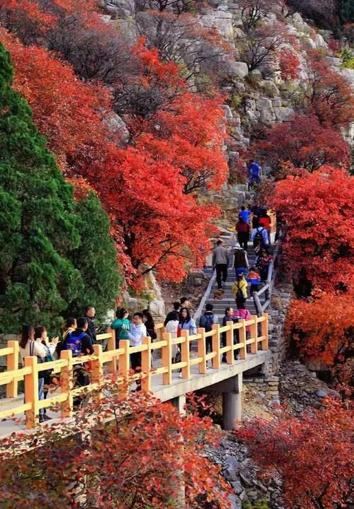 这个秋天,就想和你一起去石门坊赏红叶