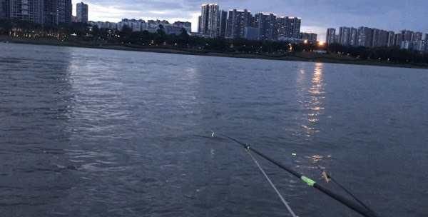  纠结■当许多钓鱼人都在纠结调四钓二时，有些钓友已经开始扔掉浮漂了