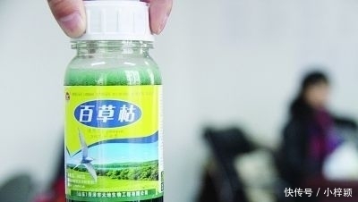  「秸秆」今年起，农村再有这5种行为，村干部也保不住，违反的人