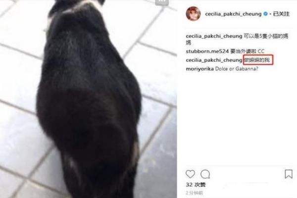 张柏芝凌晨晒出怀孕B超照，宣布迎接家庭新成员，真相让粉丝脸红