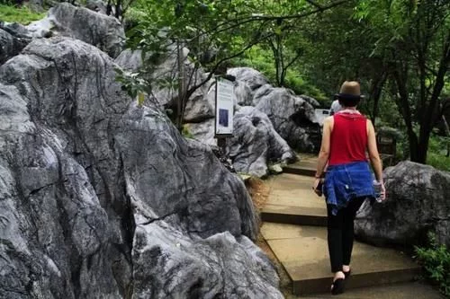 中国五大绝美的石林,奇特的喀斯特地貌,看尽大自然的鬼斧神工【2020热门旅游景点】