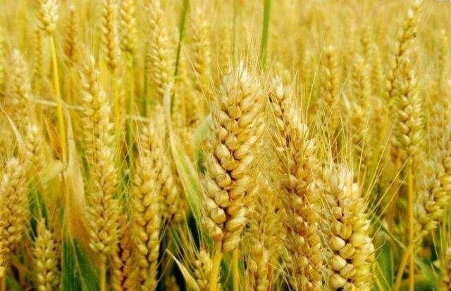  说不来@最“纠结”的省，南方人说它北方，北方人说它南方，它自