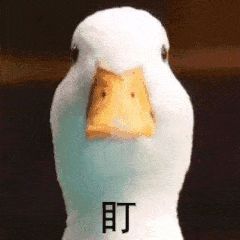 本周2场强降雨接连泡 追太阳攻略送给你