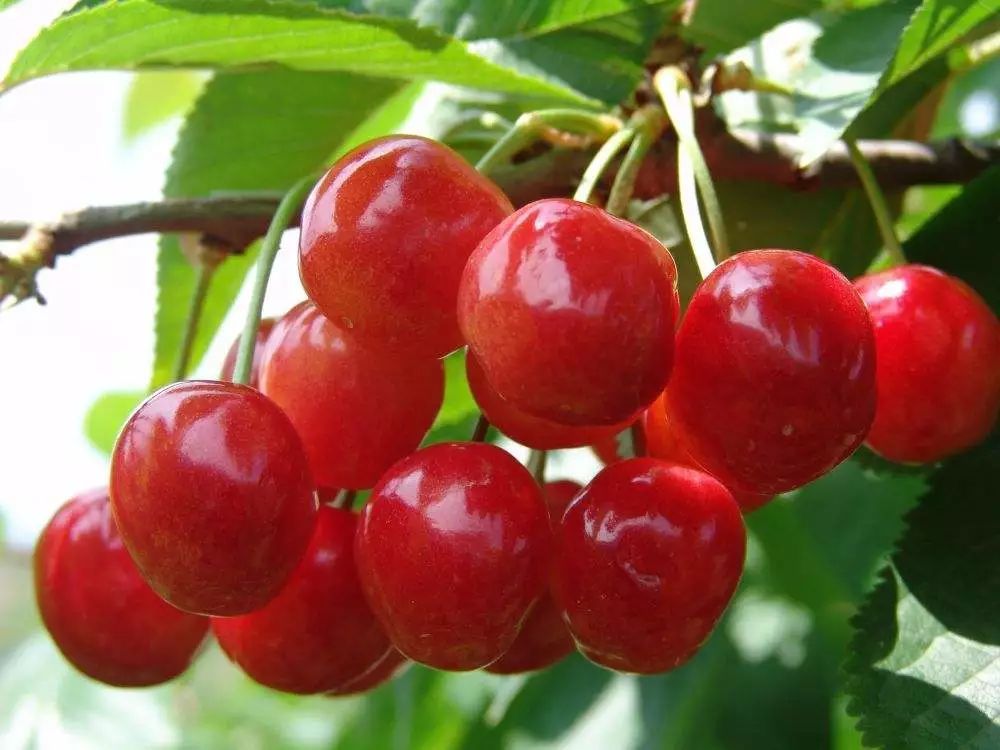 你家一亩地居然值200万！快看看，不知道可就亏大了......