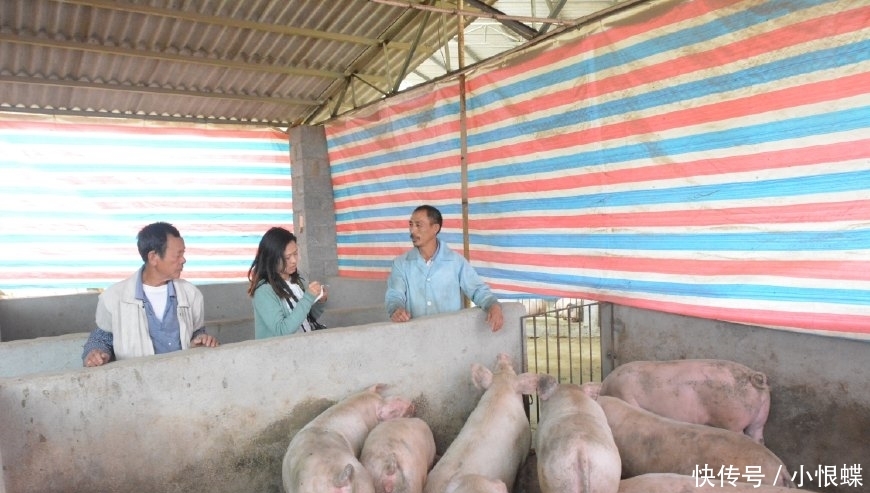 下半年，农村这3种人，就算不失业，也很难赚到钱，希望没有你！