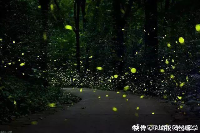 四川新添一座世界级公园! 山水、红叶、冰挂、溶洞每个都惊艳世界