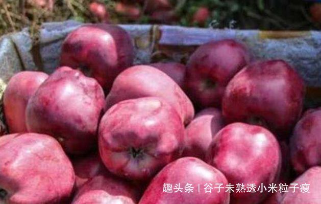  帮忙■一个月前已滞销，众多网帮忙销售，现在还没卖完，问题出