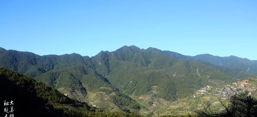 大美无量丨樱花谷的樱花又开了,未来20天,赏花正当时