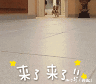 广州出发高铁2小时能到的旅游地!小长假说走就走!