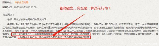 视频连接线■“可视锚鱼”受到很多钓鱼人热烈欢迎,为何使用者被捕?