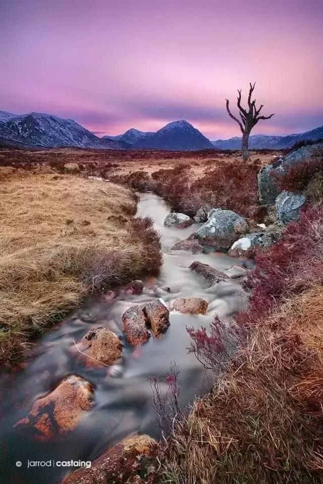 美图50幅绝美大片,用光影展现世界之美!