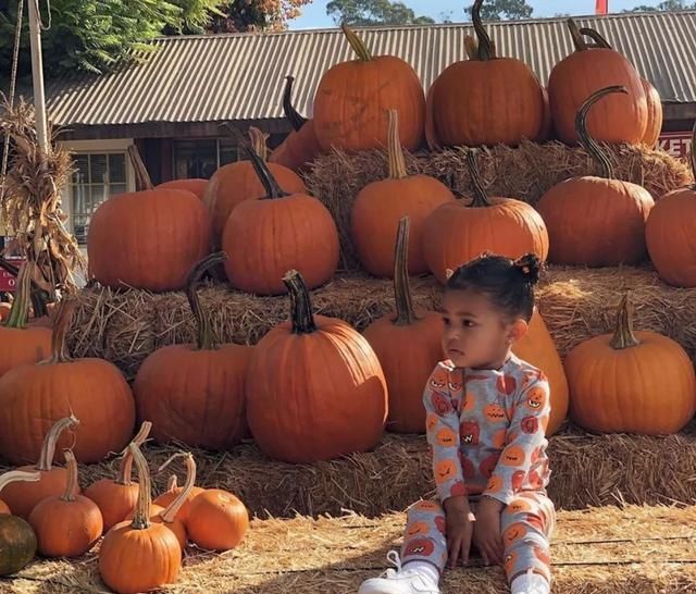  「很爽」做Travis Scott和Kylie的女儿是什么体验？Stormi:谢邀，很爽